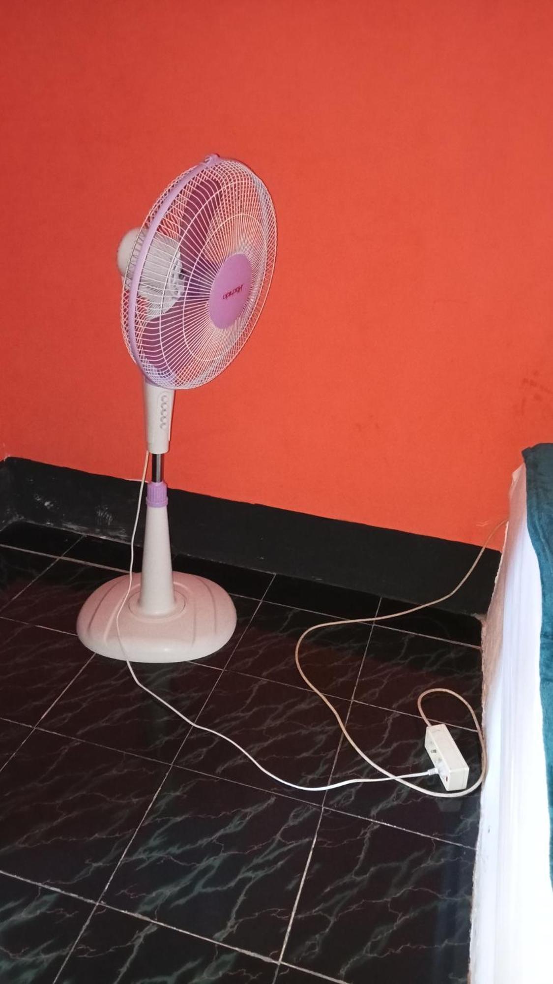 Roy Homestay Kuta Kuta  エクステリア 写真